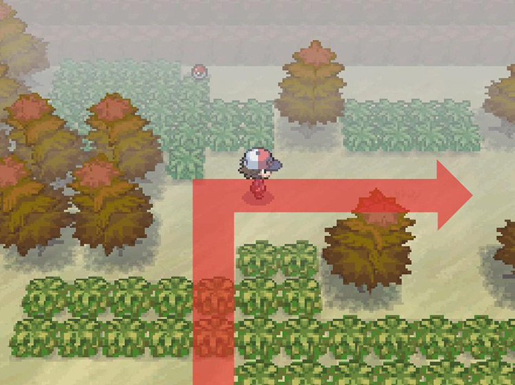Turn east and continue through the forest. / Pokemon BW