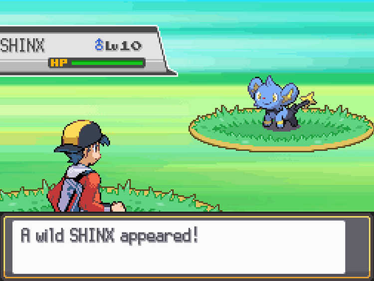Wild Shinx encountered in the National Park / Pokémon HG/SS