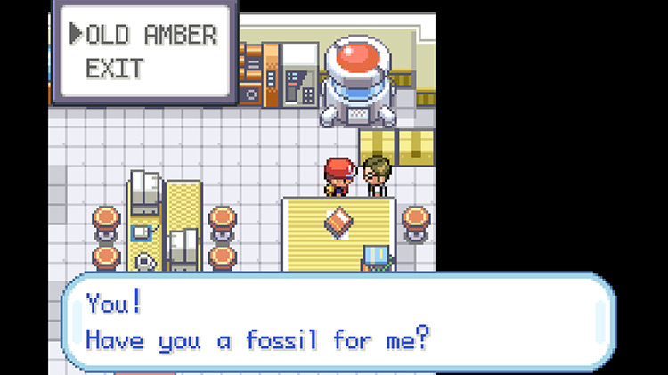Giving the Professor the Old Amber so they can clone it into an Aerodactyl / Pokémon FireRed & LeafGreen