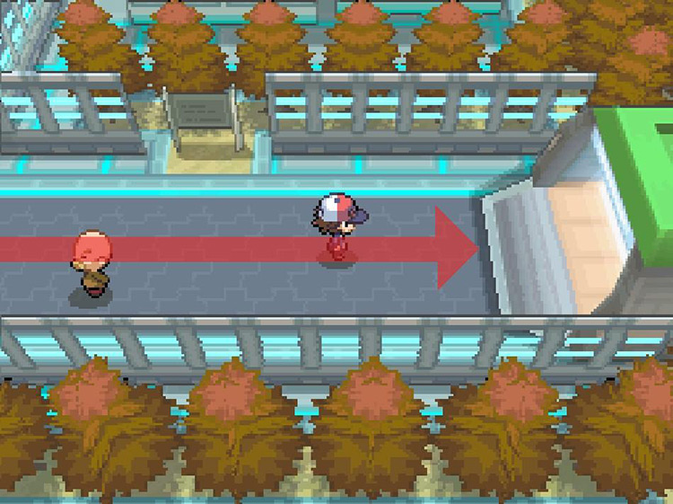 Continue east through the tunnel. / Pokemon BW