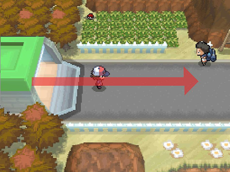 Continue east on Route 11. / Pokemon BW