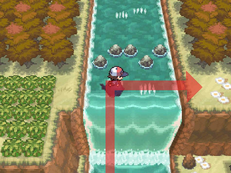 Turning towards the land after climbing Route 11’s waterfall. / Pokemon BW
