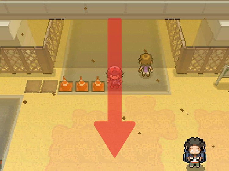 Continue south under the overpass. / Pokemon BW