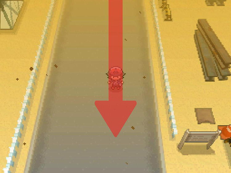 Continue south past the Trainer Tip sign. / Pokemon BW