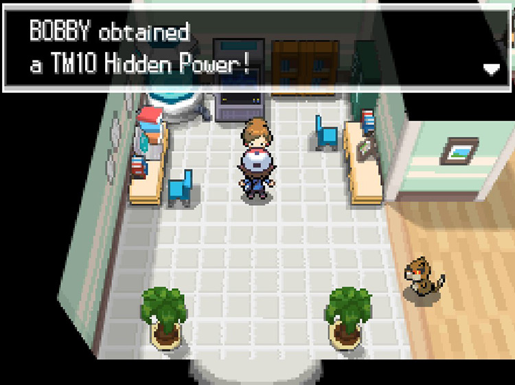 Professor Juniper will give you TM10 Hidden Power after seeing your Pokédex. / Pokemon BW