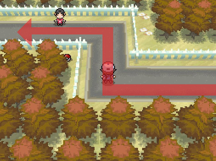 Veer north and continue west past the NPC. / Pokemon BW