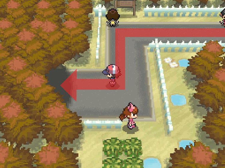 Enter Pinwheel Forest. / Pokemon BW