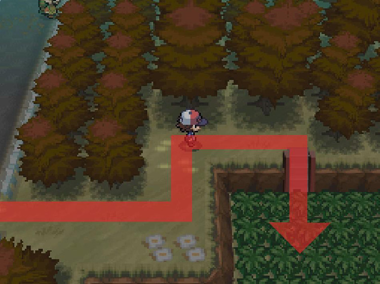 Climb down the stairs towards the tall grass. / Pokemon BW