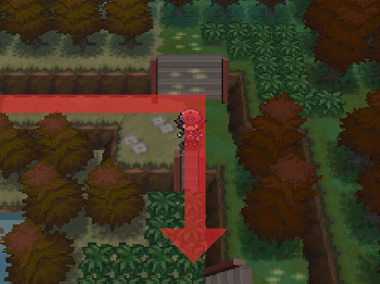 Head down the stairs and through the tall grass. / Pokemon BW