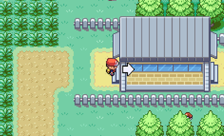 The crossing building where the ItemFinder can be obtained / Pokémon FRLG