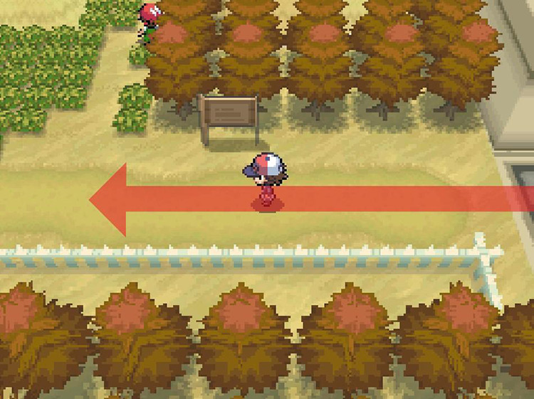 Keep west on Route 12. / Pokemon BW