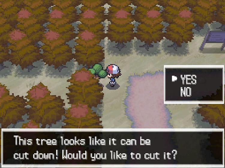 Use HM01 Cut on the tree ahead. / Pokemon BW