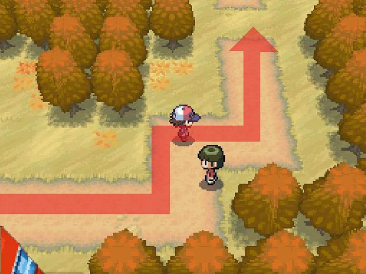 Follow the path north to Route 7. / Pokemon BW