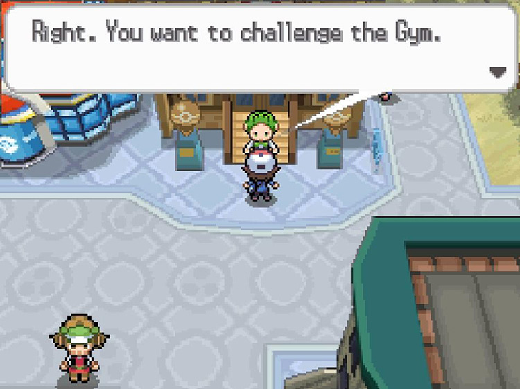 Speak to Cilan to challenge the Gym. / Pokemon BW