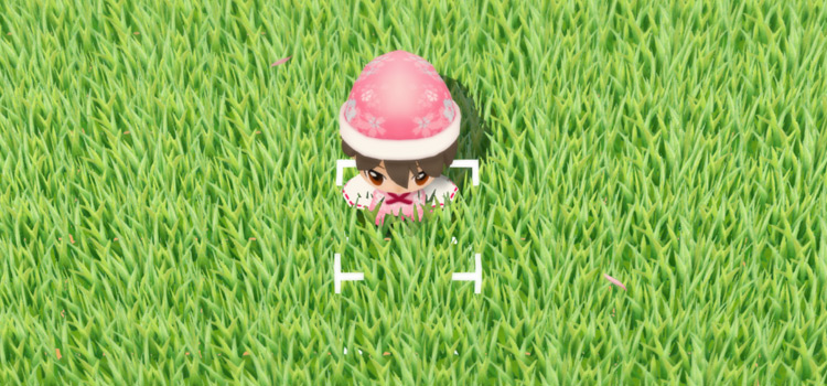 Standing in the middle of a grass field in SoS:FoMT