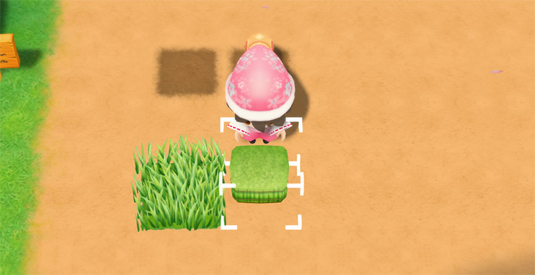 The farmer places a Grass Seedling / SoS: FoMT