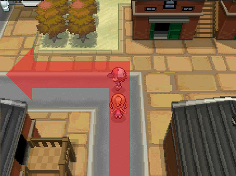 Once the road ends north, veer west. / Pokemon BW