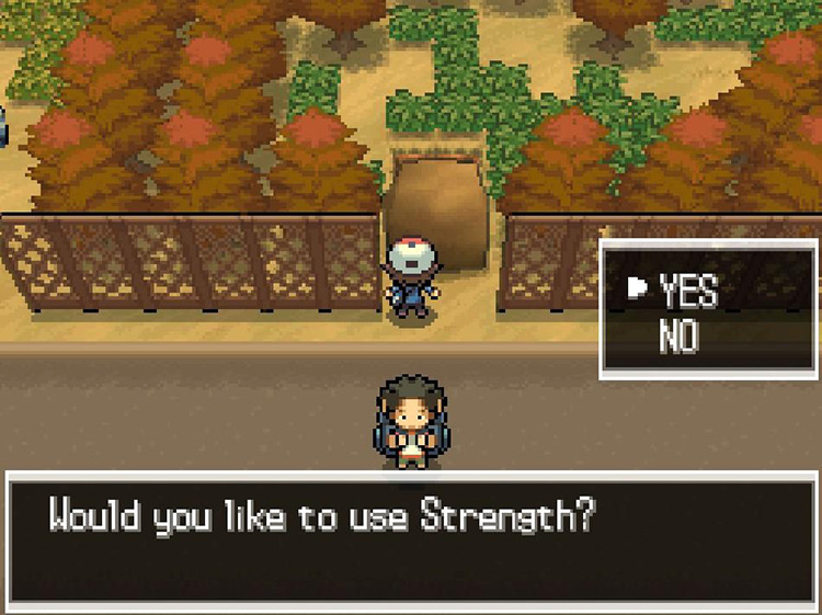 Use Strength to push the boulder into the hole. / Pokemon BW