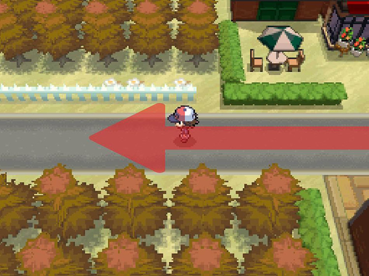 Continue west through the city. / Pokemon BW