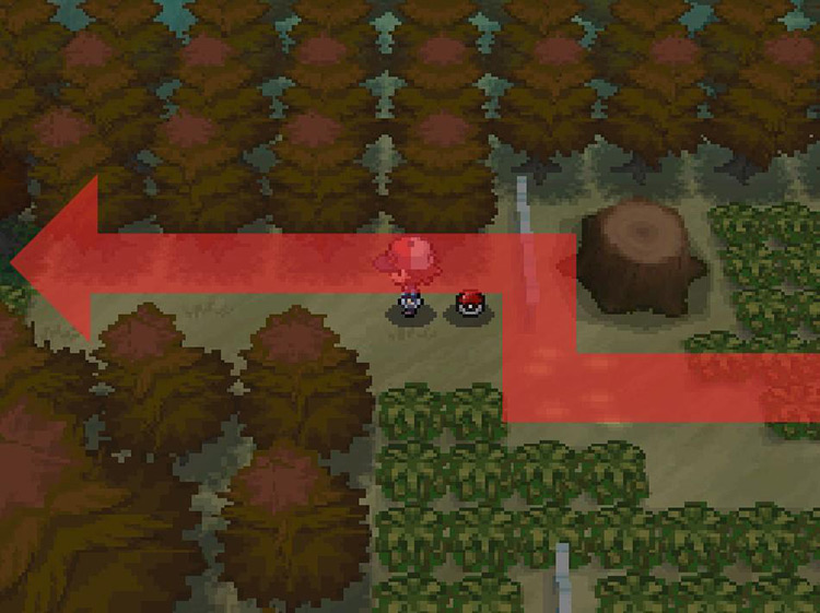 Keep west on the forest’s path. / Pokemon BW
