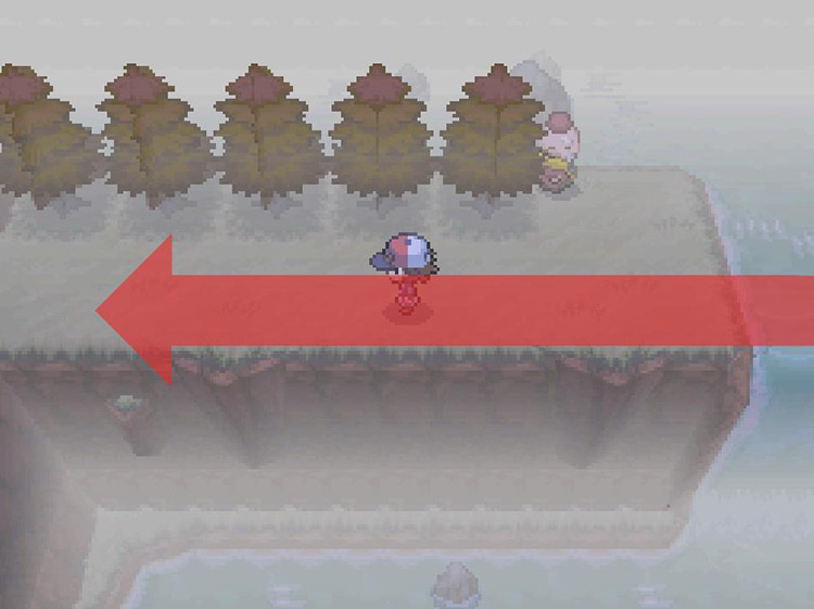 Head west onto land from the second waterfall. / Pokemon BW