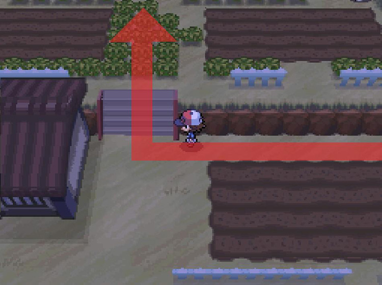 Take the stairs north and continue through the tall grass. / Pokemon BW