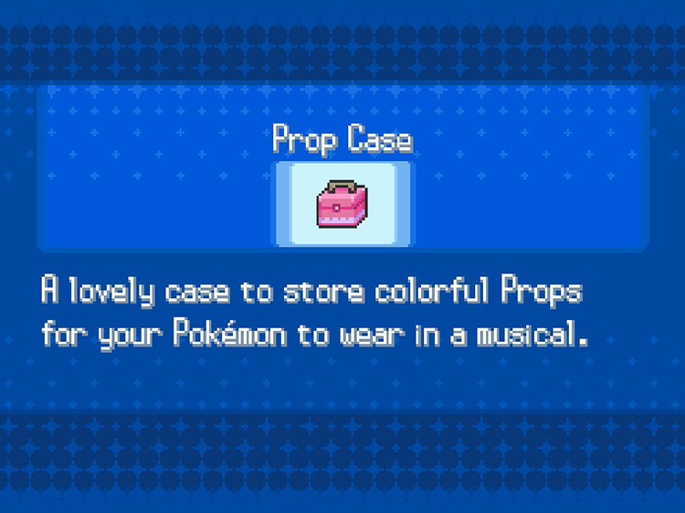 In-game details for the Prop Case. / Pokemon BW