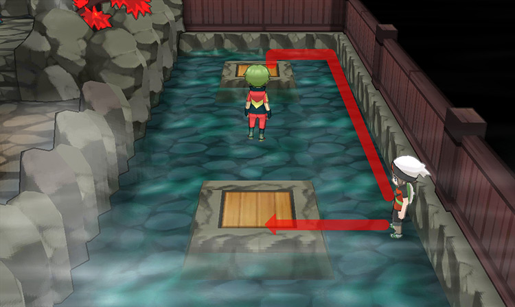 Path to the bottom-side trapdoor, avoiding the Ace Trainer. / Pokémon Omega Ruby and Alpha Sapphire