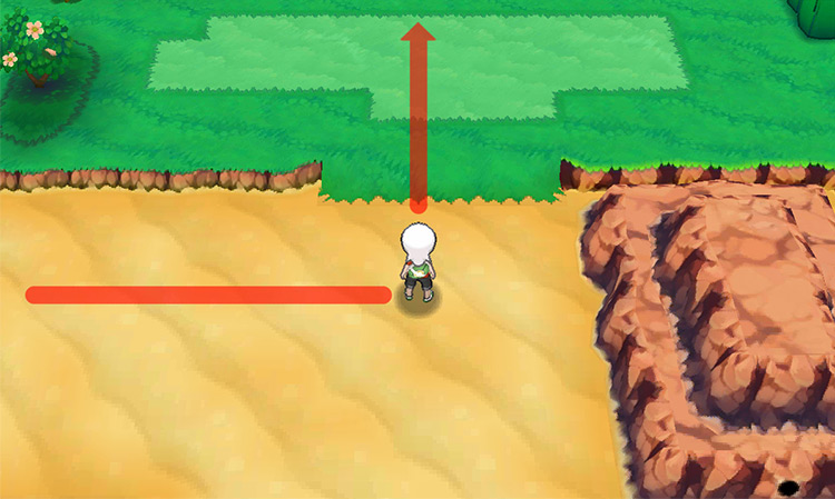 Reaching the end of the beach on Route 118 and heading north. / Pokémon Omega Ruby and Alpha Sapphire