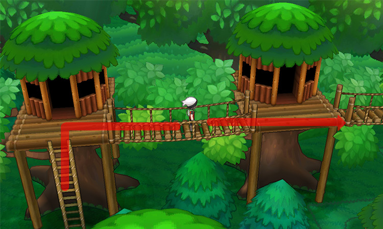 Heading east on the upper platform and crossing the rope bridge. / Pokémon Omega Ruby and Alpha Sapphire