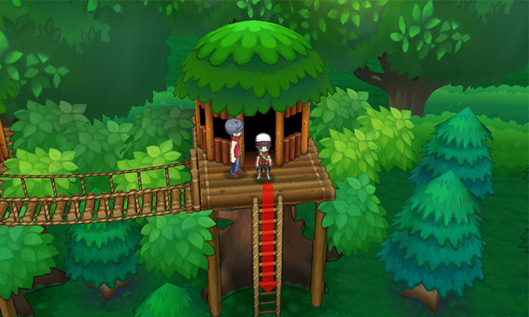 Climbing down the rope ladder on the third platform. / Pokémon Omega Ruby and Alpha Sapphire