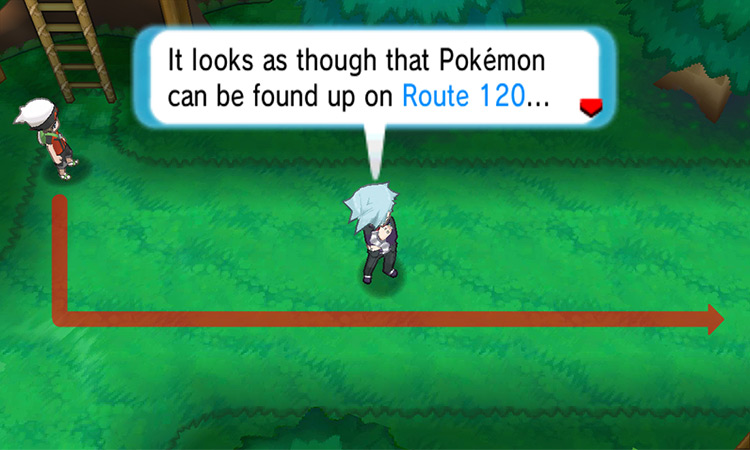 Running into Steven and following him to Route 120. / Pokémon Omega Ruby and Alpha Sapphire