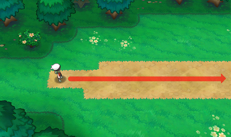 Heading east on Route 120. / Pokémon Omega Ruby and Alpha Sapphire