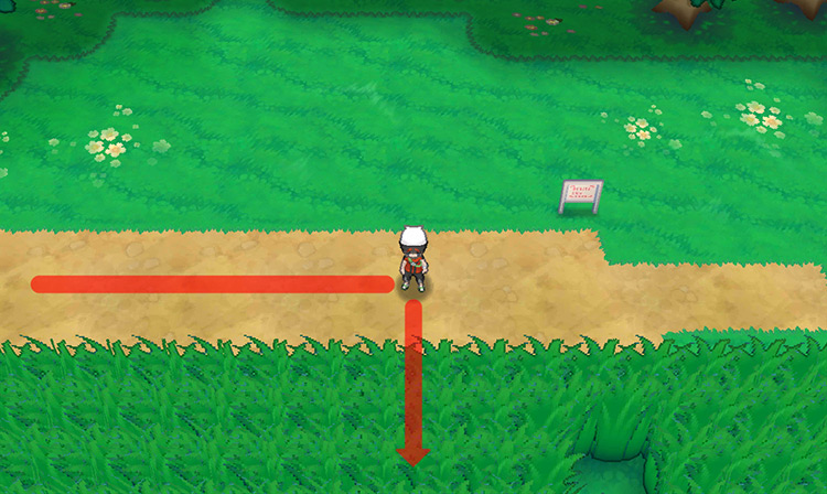 Stepping off the dirt path into the tall grass. / Pokémon Omega Ruby and Alpha Sapphire