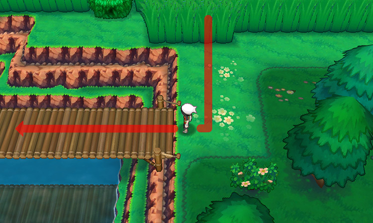 The wooden bridge at the end of the path. / Pokémon Omega Ruby and Alpha Sapphire