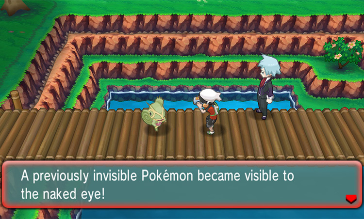 Revealing the invisible Kecleon on Route 120. / Pokémon Omega Ruby and Alpha Sapphire