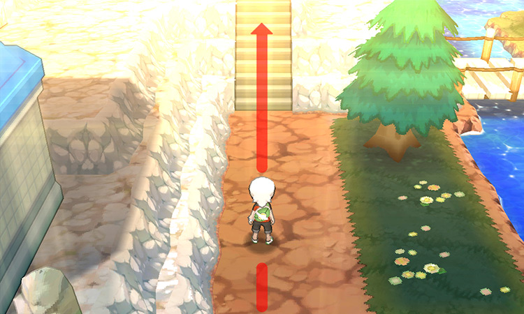 Continuing along the path to the right and climbing up the second set of stairs. / Pokémon Omega Ruby and Alpha Sapphire