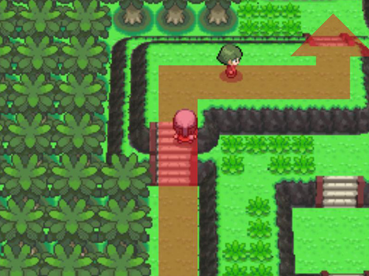 Passing over the hill to the north. / Pokémon Platinum