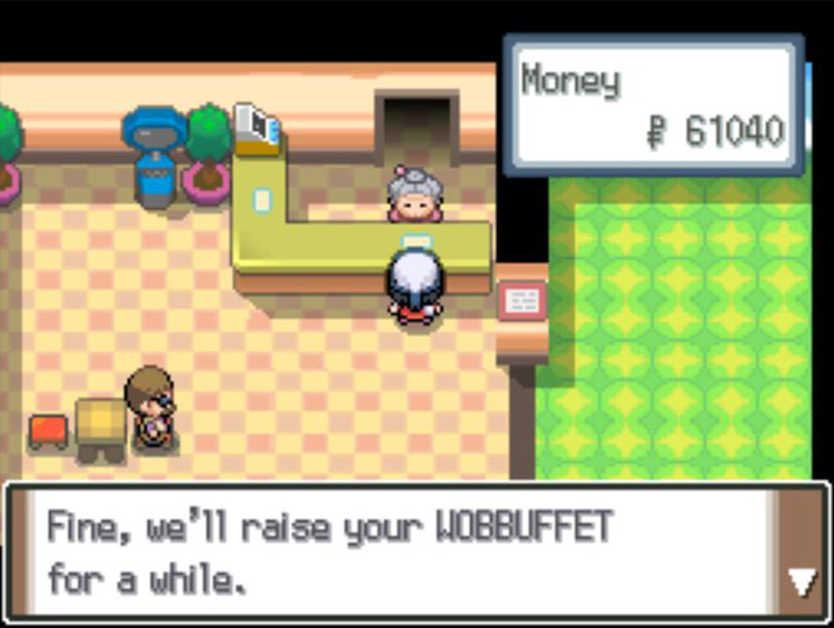 Leaving both Wobbuffets in the Day Care Center. / Pokémon Platinum
