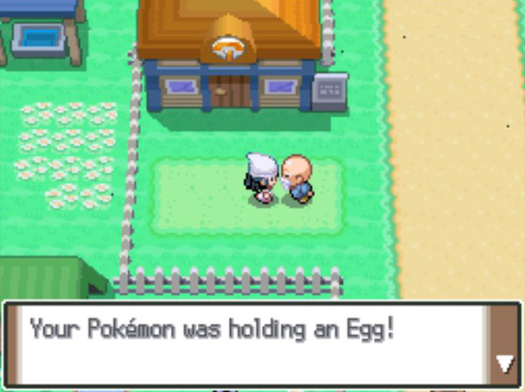 Receiving the Pokémon Egg from the Day-Care Man. / Pokémon Platinum