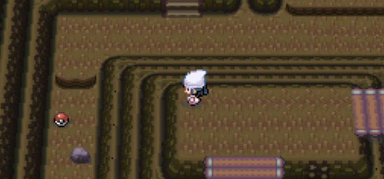 Finding the Torment TM in Victory Road (Pokémon platinum)