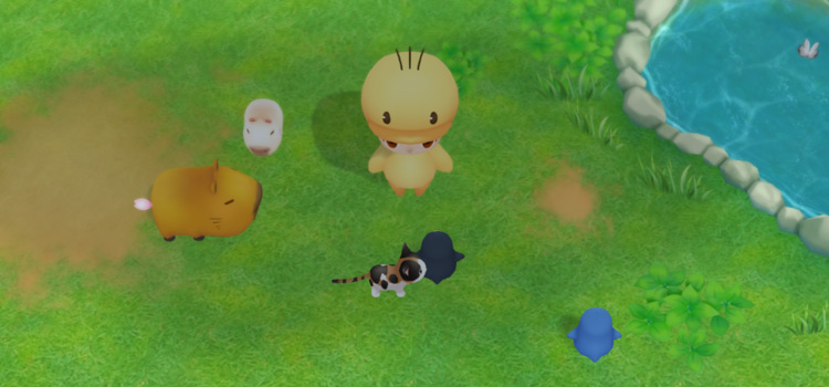 Standing on the farm with multiple pets in SoS:FoMT
