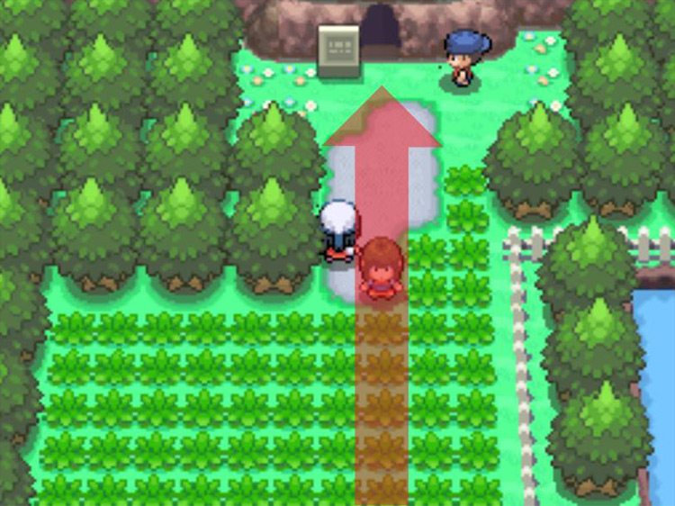 Entering the Ravaged Path on Route 204. / Pokémon Platinum