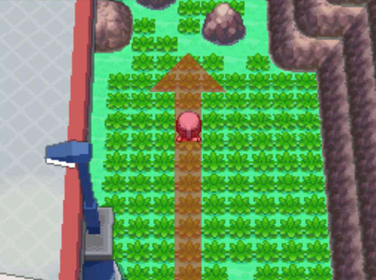 Crossing the fields of grass / Pokémon Platinum