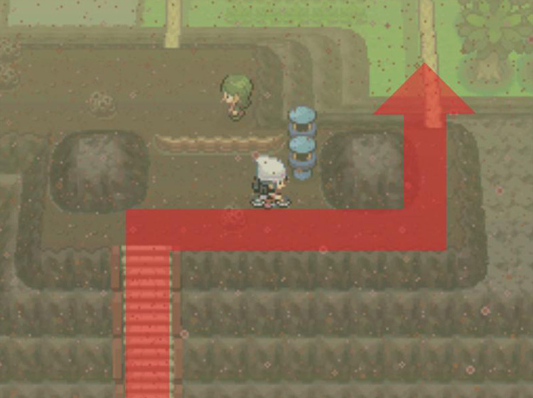 Climbing the stairs and riding the Bicycle over the fallen log. / Pokémon Platinum
