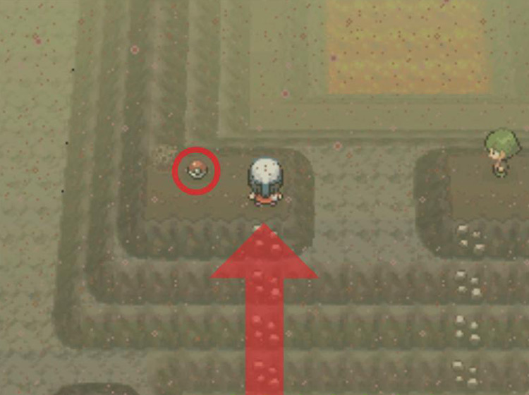 Reaching the top of the hill where the Life Orb is located / Pokémon Platinum