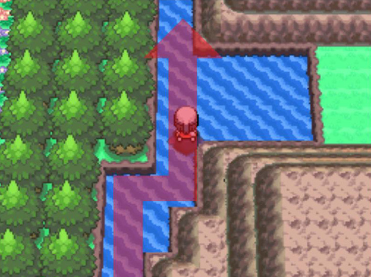Passing the clearing to the east / Pokémon Platinum