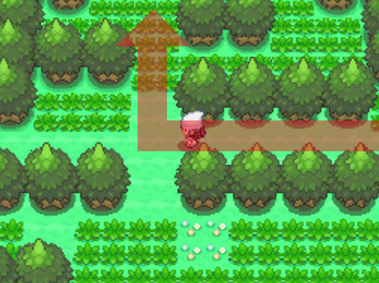 Turning north into the wooded enclosure and keeping to the left / Pokémon Platinum