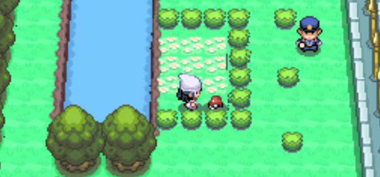 The Rose Incense on Route 212 in Pokémon Platinum