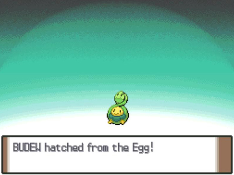 Hatching a Budew / Pokémon Platinum